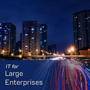 large_enterprises